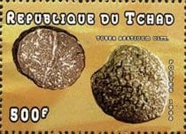 Pilz auf Briefmarke