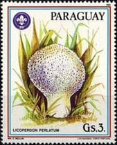 Pilz auf Briefmarke