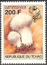 Pilz auf Briefmarke
