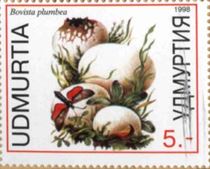 Pilz auf Briefmarke
