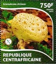 This mushroom on a stamp
