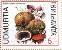 This mushroom on a stamp