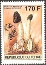 A gomba bélyegen