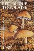 Pilz auf Briefmarke