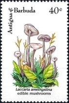 Pilz auf Briefmarke