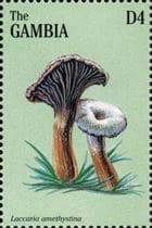 Pilz auf Briefmarke