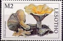 Pilz auf Briefmarke