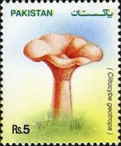 Pilz auf Briefmarke