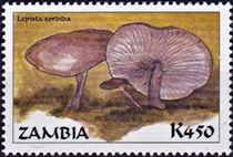 This mushroom on a stamp