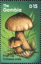Pilz auf Briefmarke