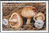 Pilz auf Briefmarke