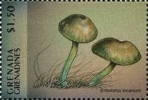 This mushroom on a stamp