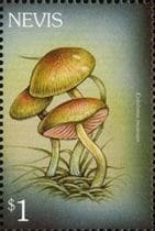This mushroom on a stamp