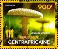Pilz auf Briefmarke
