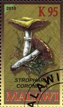 Pilz auf Briefmarke