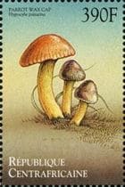 Pilz auf Briefmarke