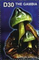Pilz auf Briefmarke