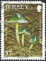 Pilz auf Briefmarke