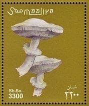 A gomba bélyegen
