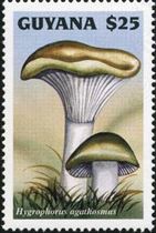 Pilz auf Briefmarke