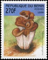 A gomba bélyegen