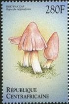 This mushroom on a stamp