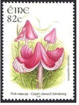 This mushroom on a stamp