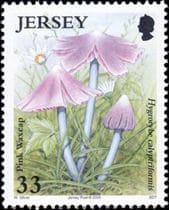 This mushroom on a stamp