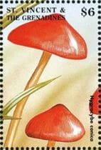 This mushroom on a stamp