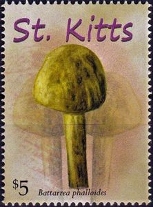Pilz auf Briefmarke