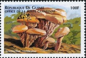 Pilz auf Briefmarke