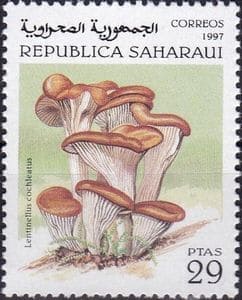 Pilz auf Briefmarke