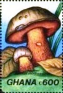 This mushroom on a stamp