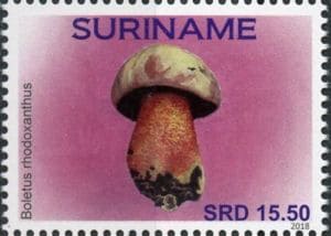 This mushroom on a stamp