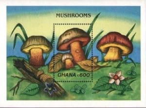 This mushroom on a stamp