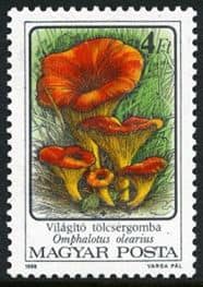 Pilz auf Briefmarke
