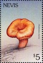 Pilz auf Briefmarke
