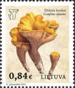 Pilz auf Briefmarke
