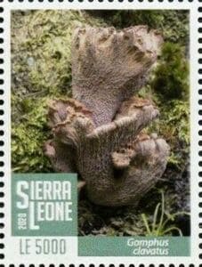 Pilz auf Briefmarke