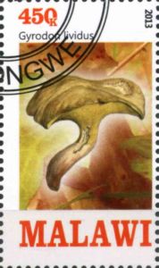 This mushroom on a stamp