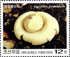 This mushroom on a stamp