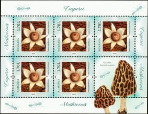 This mushroom on a stamp