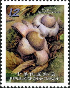 This mushroom on a stamp