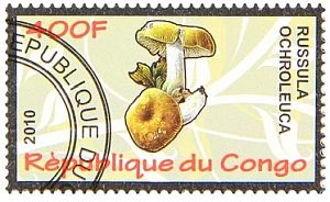 Pilz auf Briefmarke