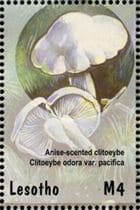 Pilz auf Briefmarke