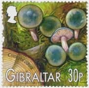 Pilz auf Briefmarke