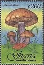 Pilz auf Briefmarke