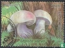 Pilz auf Briefmarke