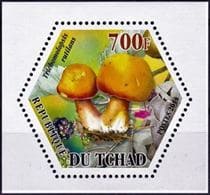 Pilz auf Briefmarke