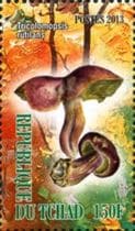 Pilz auf Briefmarke
